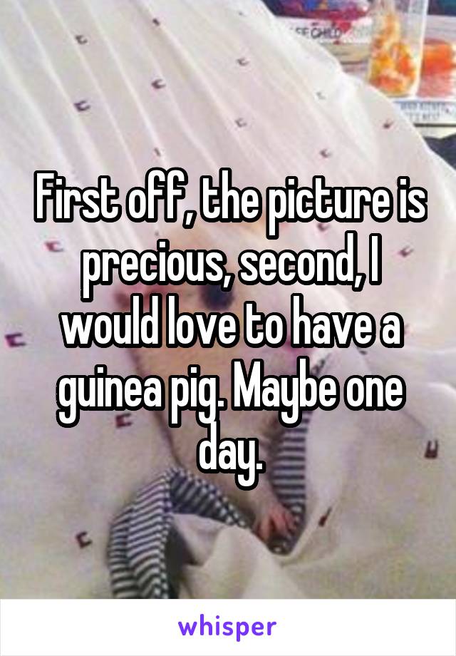 First off, the picture is precious, second, I would love to have a guinea pig. Maybe one day.