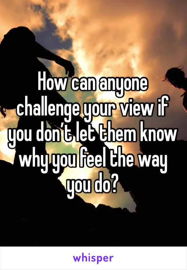 How can anyone challenge your view if you don’t let them know why you feel the way you do? 