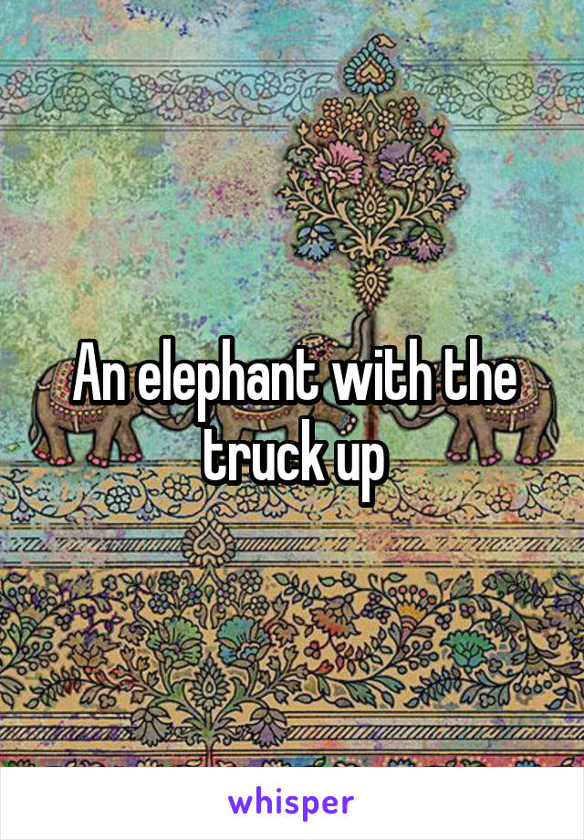 An elephant with the truck up