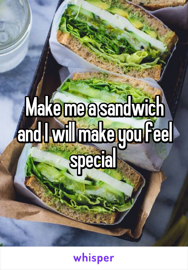 Make me a sandwich and I will make you feel special 