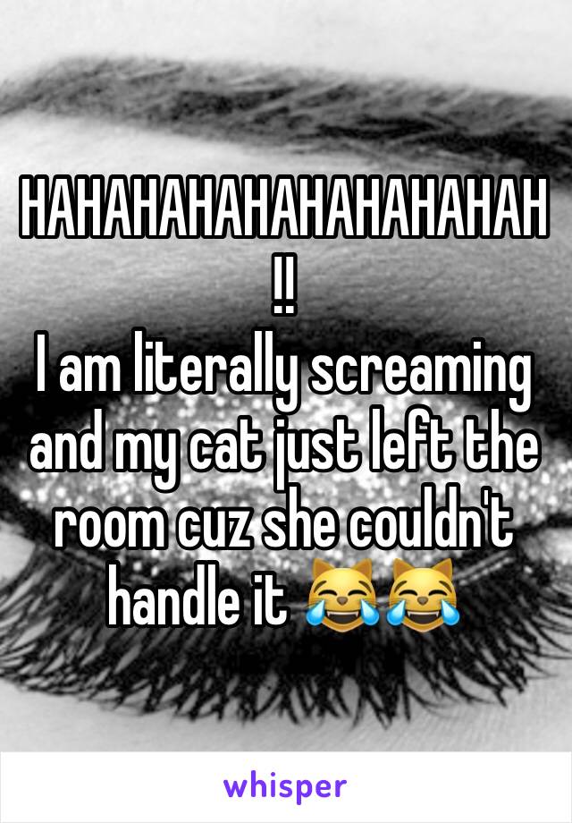 HAHAHAHAHAHAHAHAHAH!!
I am literally screaming and my cat just left the room cuz she couldn't handle it 😹😹