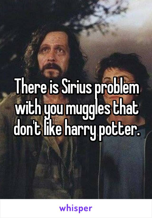 There is Sirius problem with you muggles that don't like harry potter.