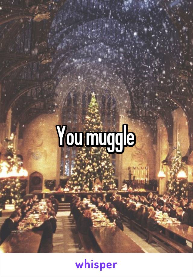 You muggle 