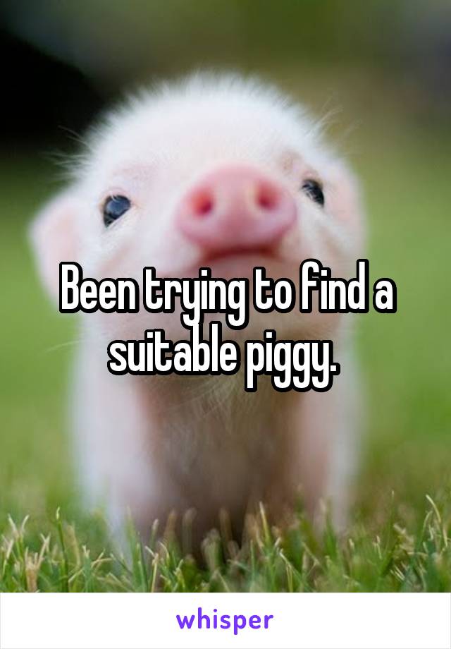 Been trying to find a suitable piggy. 