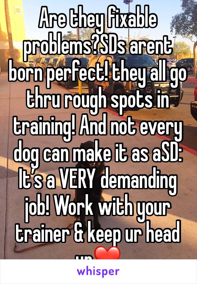 Are they fixable problems?SDs arent born perfect! they all go thru rough spots in training! And not every dog can make it as aSD: It’s a VERY demanding job! Work with your trainer & keep ur head up❤️