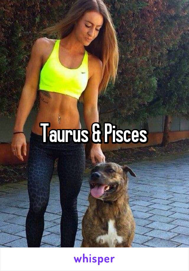 Taurus & Pisces 