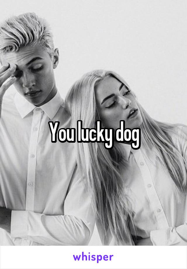 You lucky dog