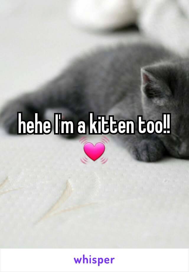 hehe I'm a kitten too!! 💓