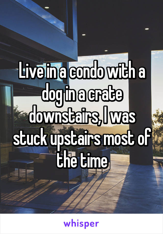 Live in a condo with a dog in a crate downstairs, I was stuck upstairs most of the time