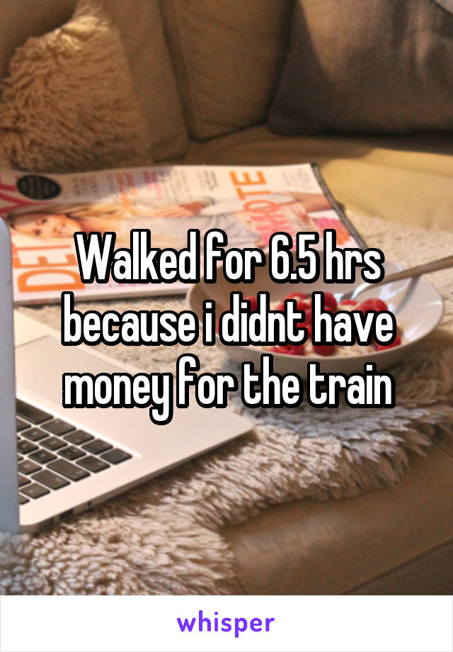 Walked for 6.5 hrs because i didnt have money for the train