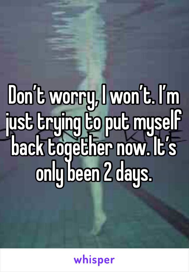 Don’t worry, I won’t. I’m just trying to put myself back together now. It’s only been 2 days. 