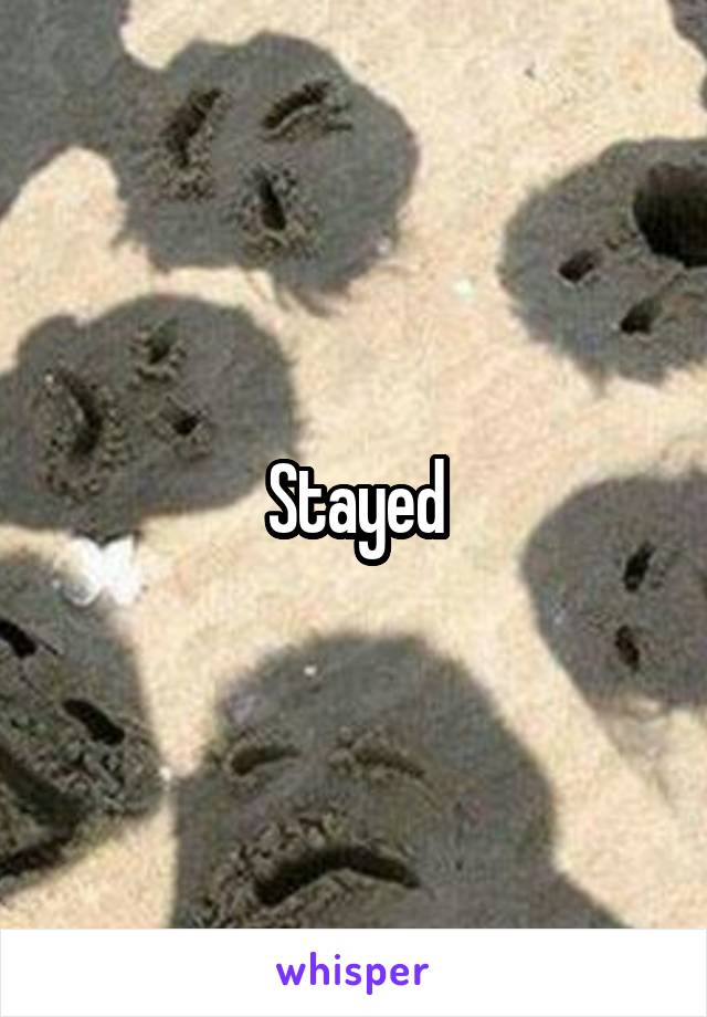 Stayed