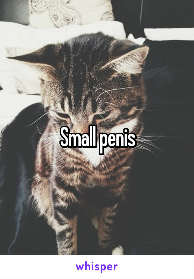 Small penis