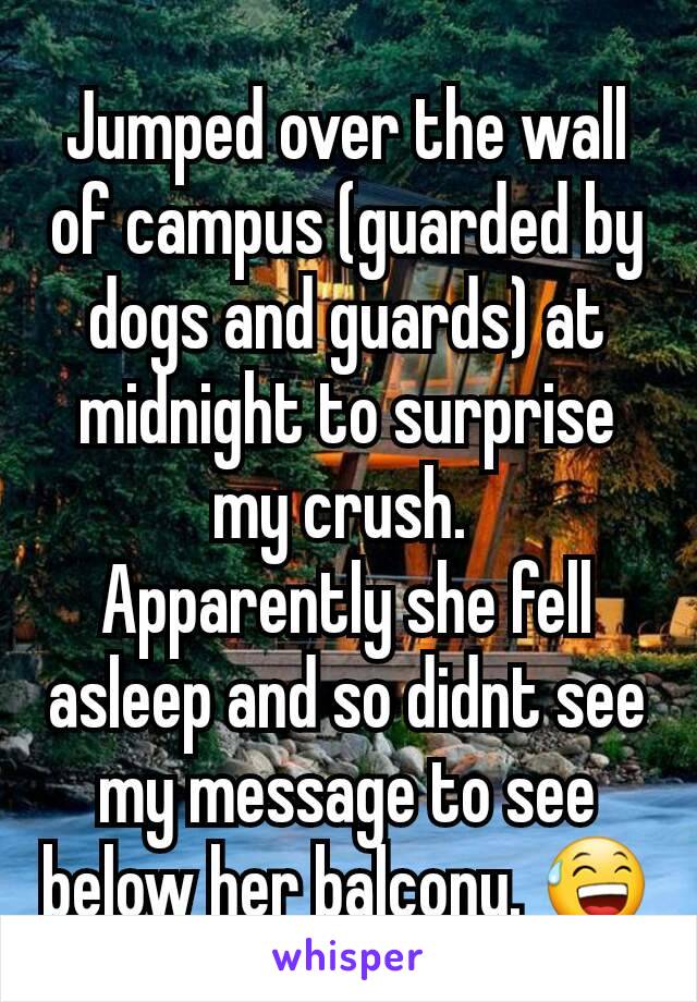 Jumped over the wall of campus (guarded by dogs and guards) at midnight to surprise my crush. 
Apparently she fell asleep and so didnt see my message to see below her balcony. 😅