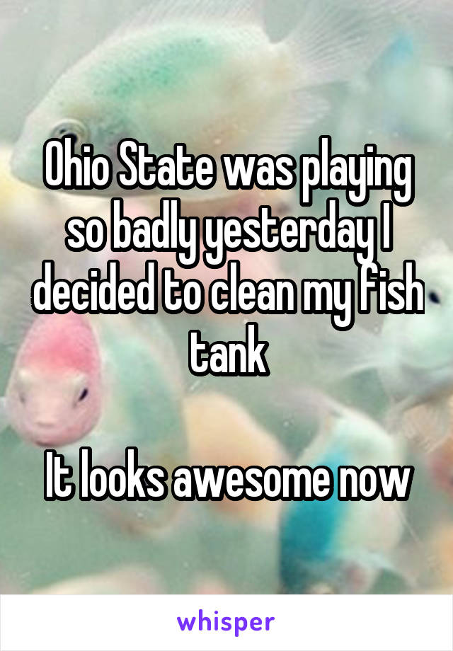 Ohio State was playing so badly yesterday I decided to clean my fish tank

It looks awesome now