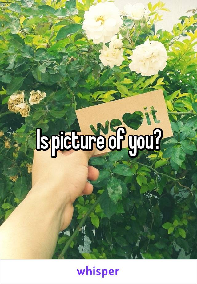 Is picture of you?