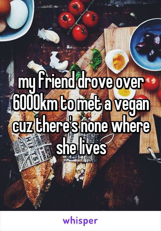 my friend drove over 6000km to met a vegan cuz there's none where she lives