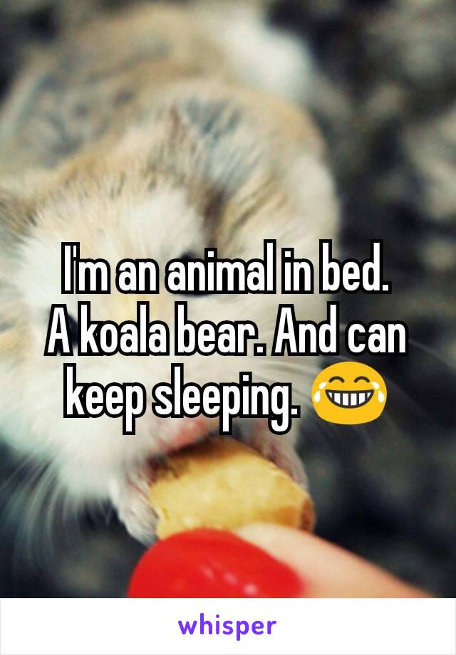 I'm an animal in bed.
A koala bear. And can keep sleeping. 😂