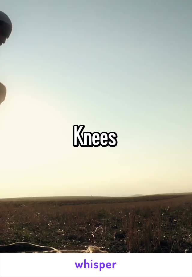 Knees 