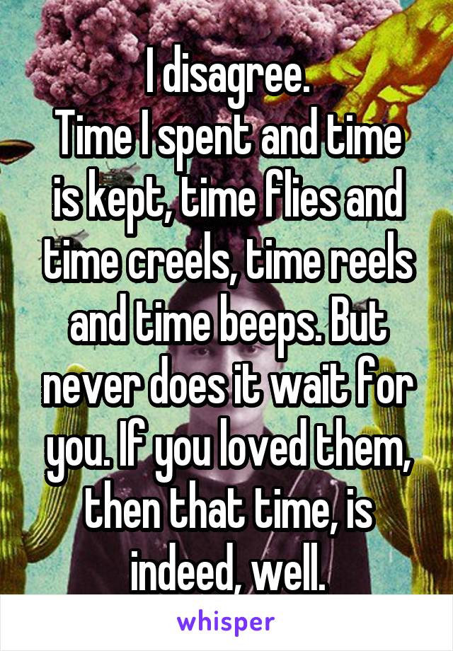 I disagree.
Time I spent and time is kept, time flies and time creels, time reels and time beeps. But never does it wait for you. If you loved them, then that time, is indeed, well.