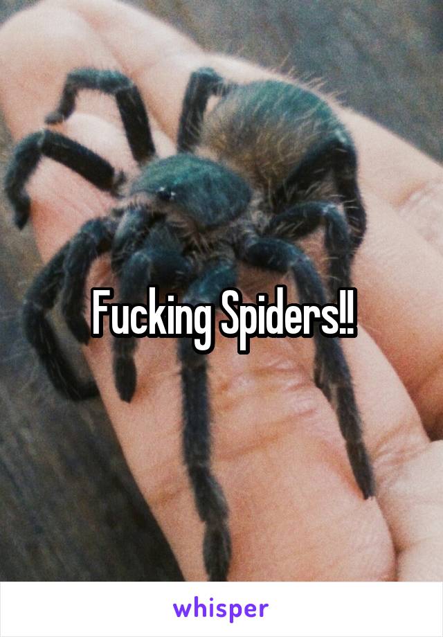 Fucking Spiders!!