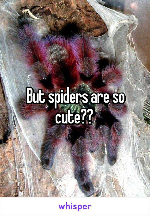 But spiders are so cute?? 