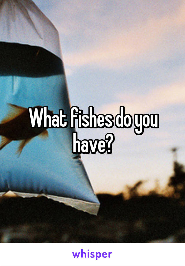 What fishes do you have?