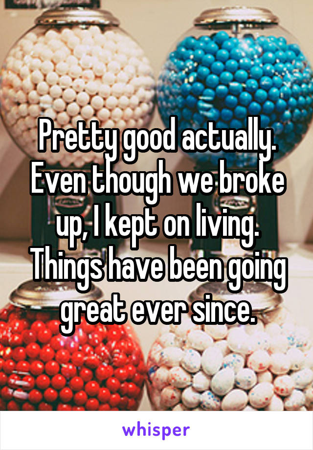 Pretty good actually. Even though we broke up, I kept on living. Things have been going great ever since.