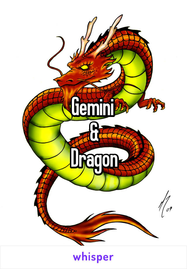 Gemini 
&
Dragon