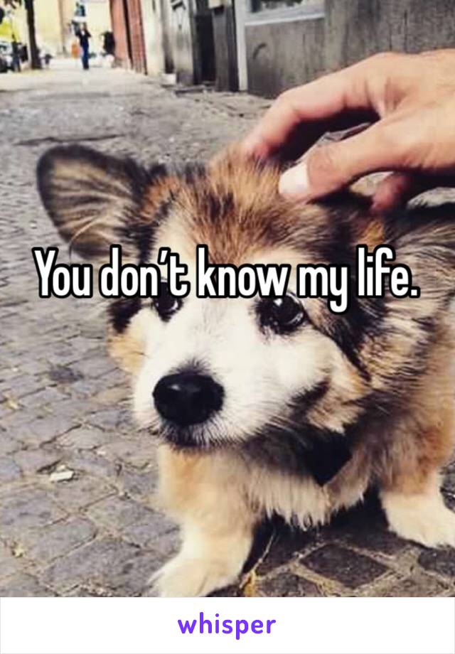 You don’t know my life.