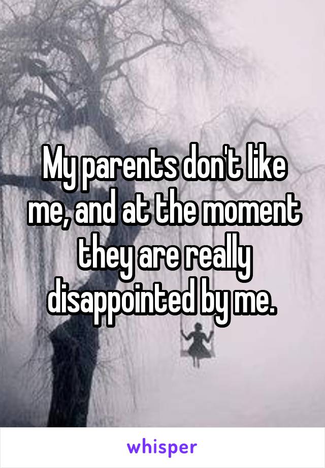 My parents don't like me, and at the moment they are really disappointed by me. 