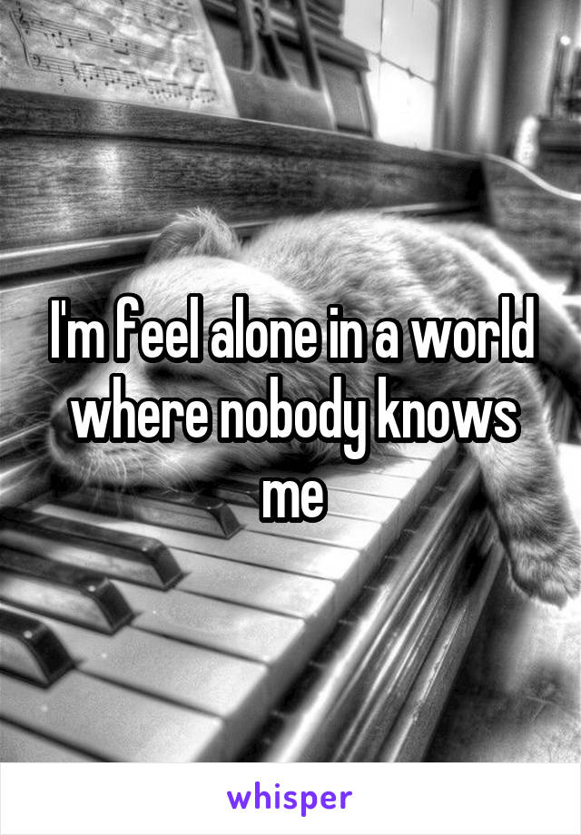 I'm feel alone in a world where nobody knows me