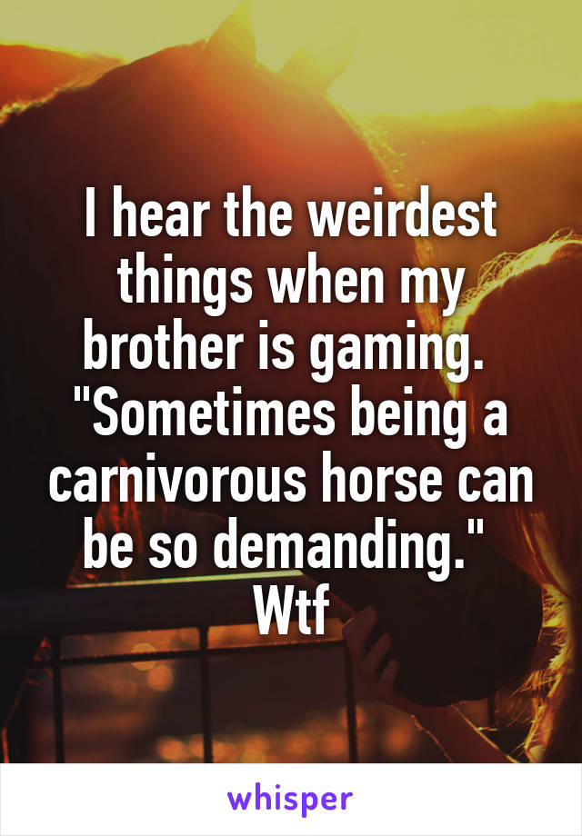 I hear the weirdest things when my brother is gaming. 
"Sometimes being a carnivorous horse can be so demanding." 
Wtf