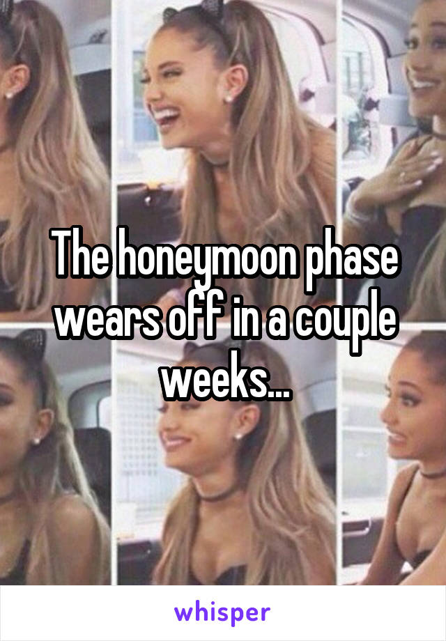 The honeymoon phase wears off in a couple weeks...