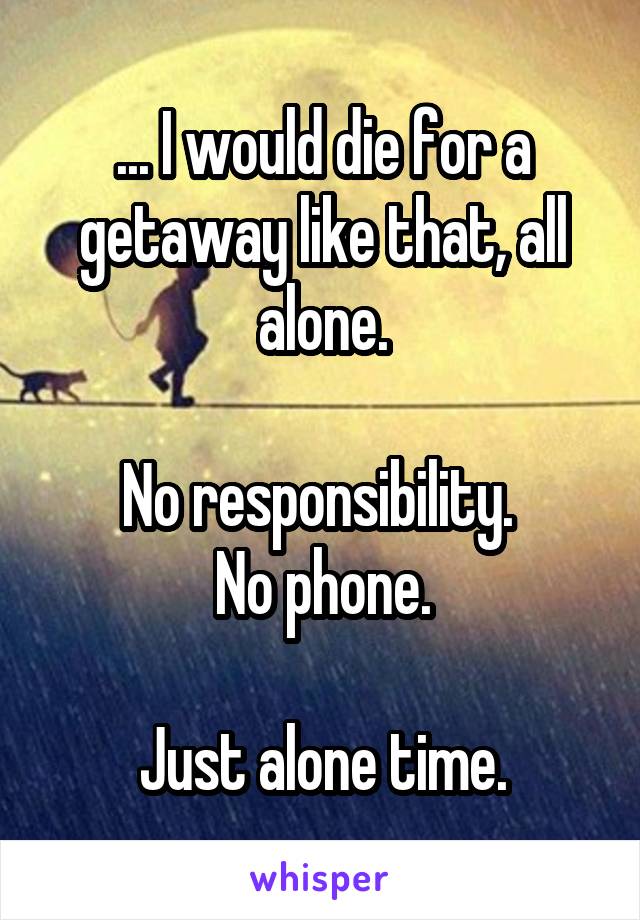 ... I would die for a getaway like that, all alone.

No responsibility. 
No phone.

Just alone time.