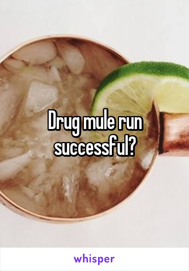 Drug mule run successful?