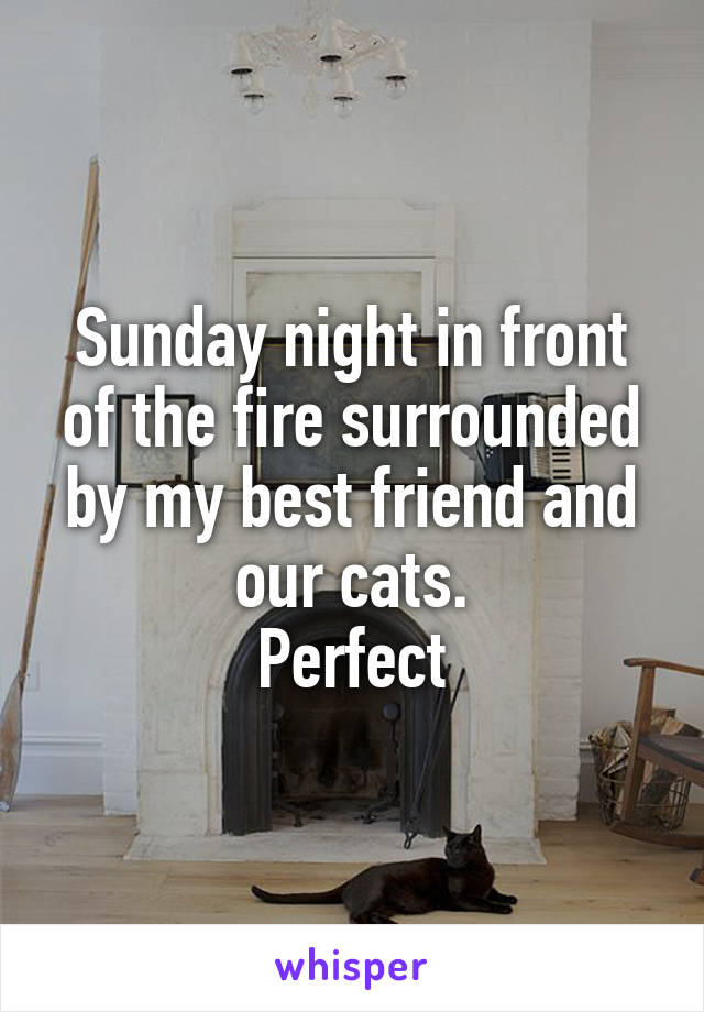 Sunday night in front of the fire surrounded by my best friend and our cats.
Perfect