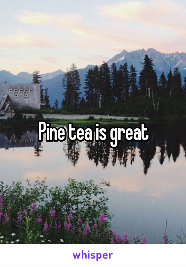 Pine tea is great