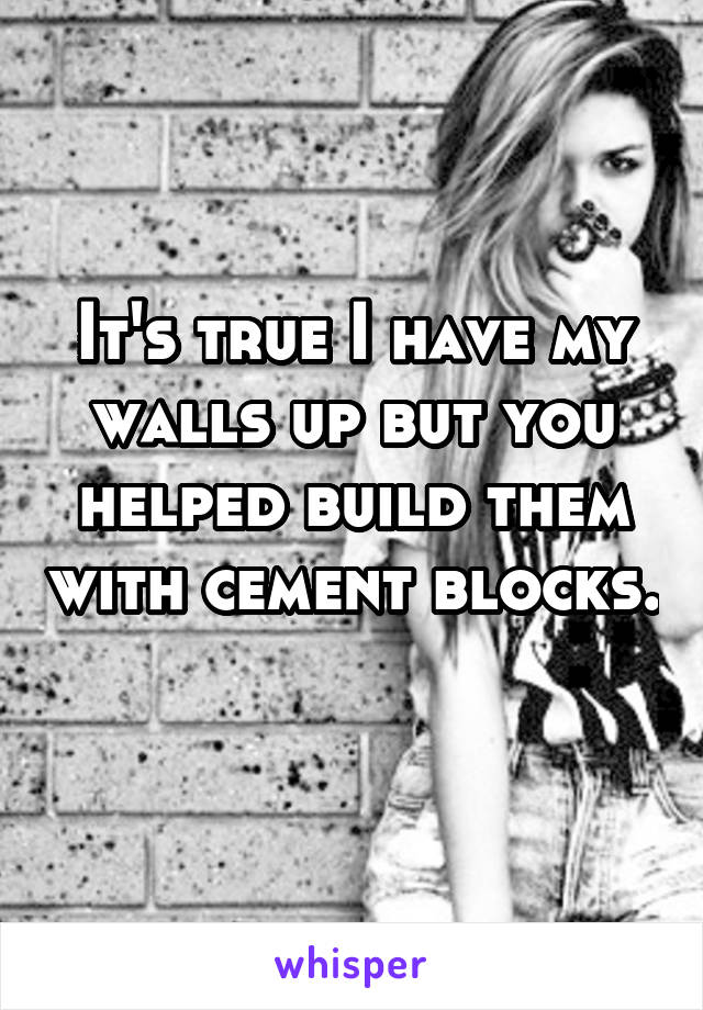It's true I have my walls up but you helped build them with cement blocks. 