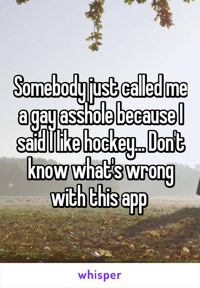 Somebody just called me a gay asshole because I said I like hockey... Don't know what's wrong with this app 