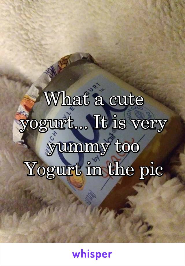 What a cute yogurt... It is very yummy too
Yogurt in the pic
