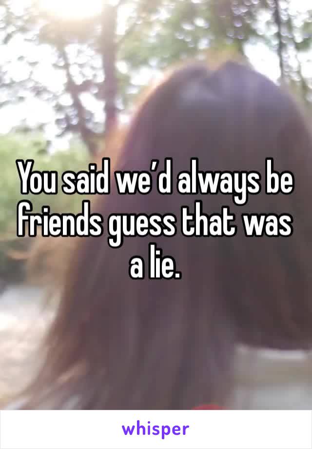 You said we’d always be friends guess that was a lie.