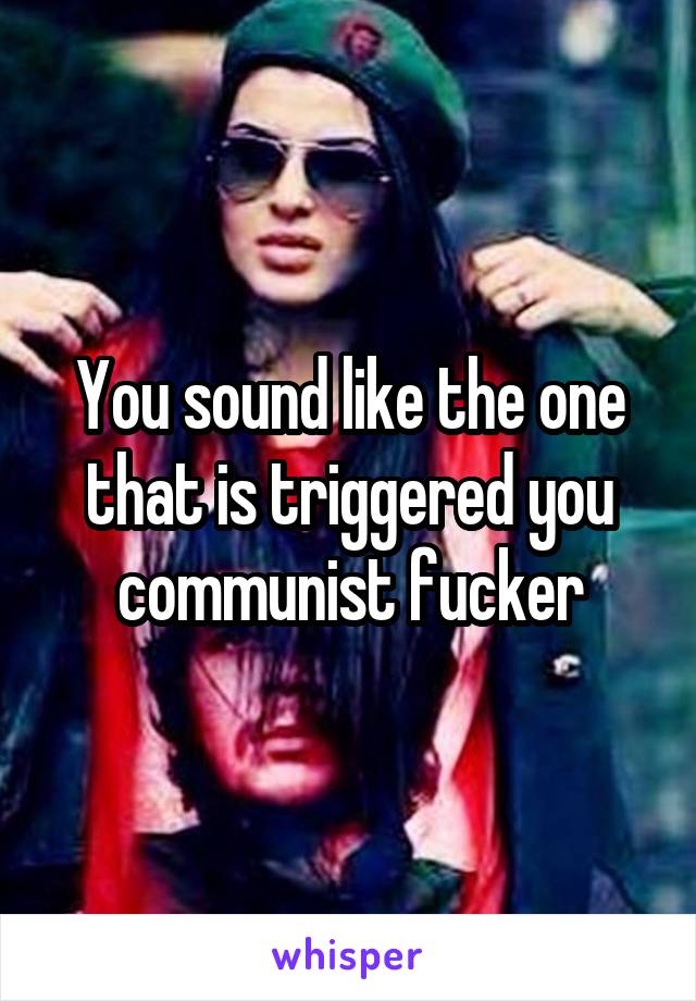 You sound like the one that is triggered you communist fucker