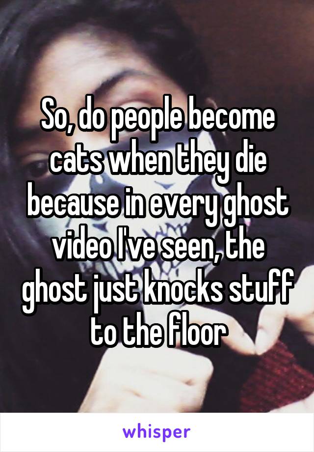 So, do people become cats when they die because in every ghost video I've seen, the ghost just knocks stuff to the floor