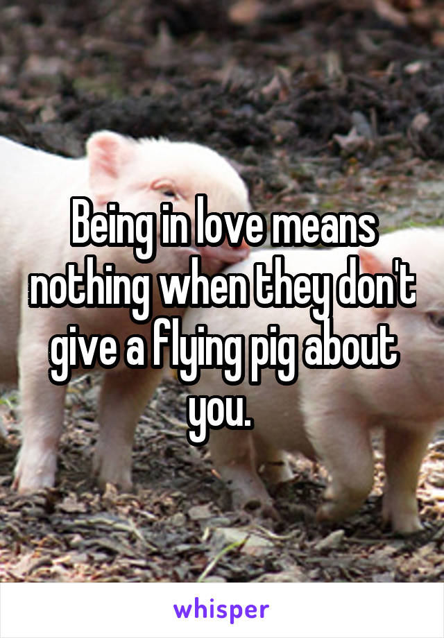 Being in love means nothing when they don't give a flying pig about you. 