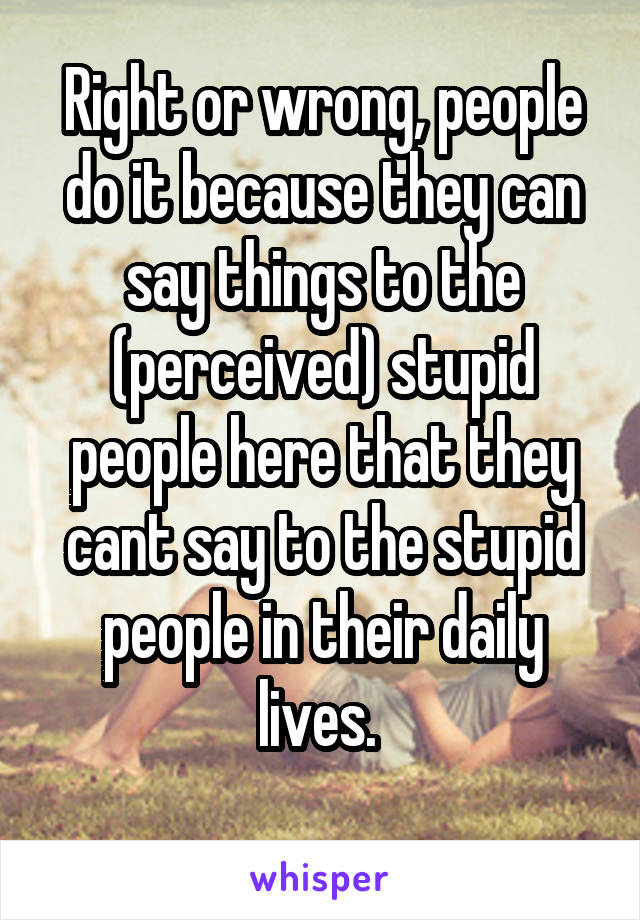 Right or wrong, people do it because they can say things to the (perceived) stupid people here that they cant say to the stupid people in their daily lives. 
