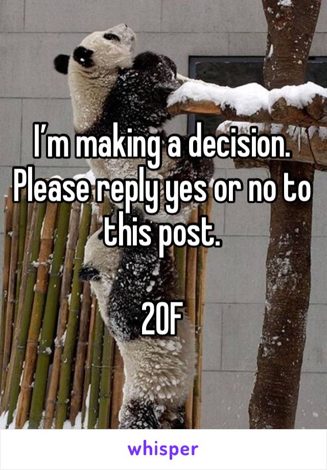 I’m making a decision. Please reply yes or no to this post.

20F