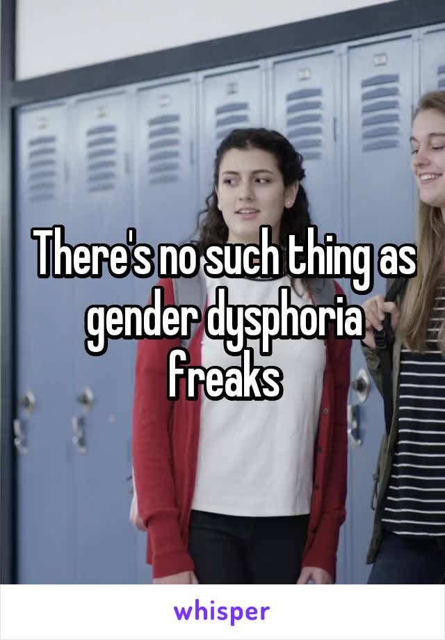 There's no such thing as gender dysphoria freaks