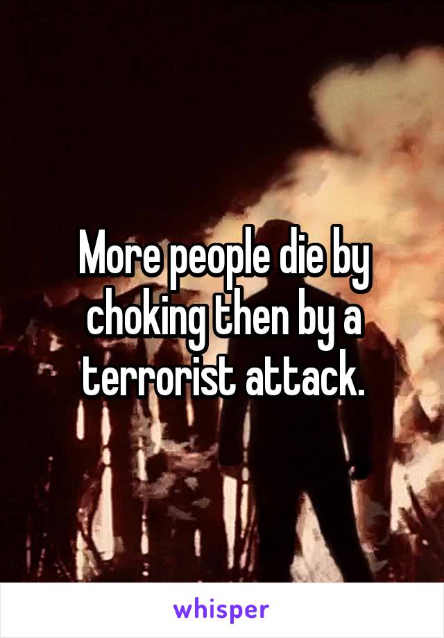 More people die by choking then by a terrorist attack.