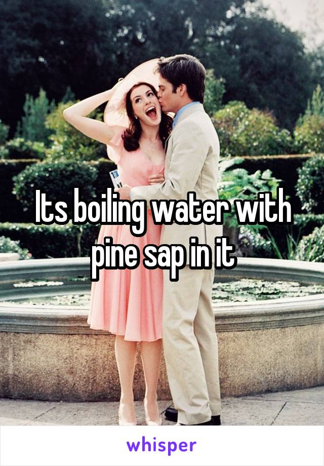 Its boiling water with pine sap in it